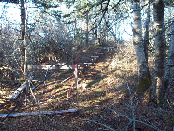 Backyard Roller Coaster